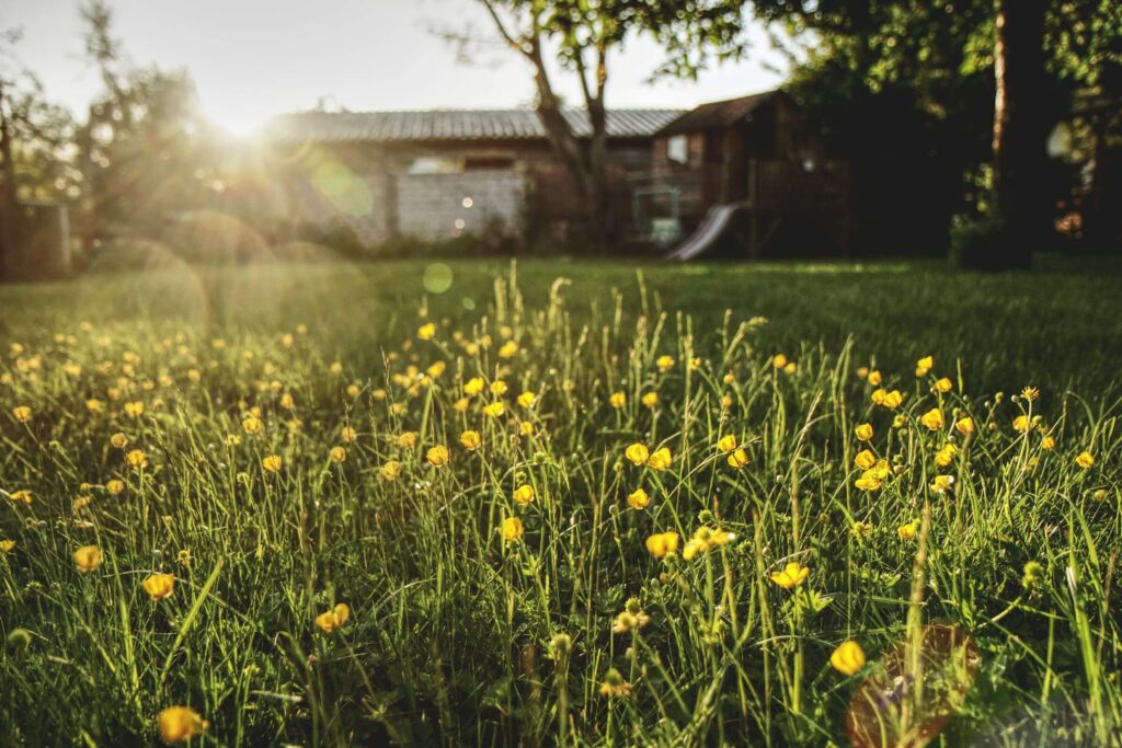 when is the best time to sell a home in Northern Virginia, spring listing on a Fairfax street